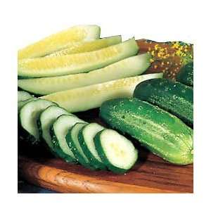   Homemade Pickles 100 + Seeds 90% Germination Patio, Lawn & Garden