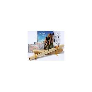   Wood Flute, book and 3 CDs (Retail Value $139.95) Musical Instruments