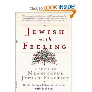   Feeling A Guide to Meaningful Jewish Practice [Mass Market Paperback