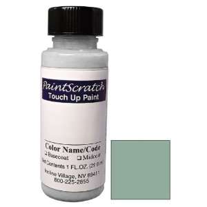  1 Oz. Bottle of Sierra Spruce Metallic Touch Up Paint for 