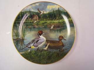 Collector Plate Knowles The Pintail 1986 ltd edition  