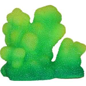  Pectina Coral/ Green
