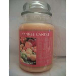  Yankee Candle 22 oz Jar Candle ORCHARD   Retired Scent 