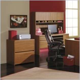 Bush Furniture Northfield 2 Drawer Lateral Wood File Cabinet in Dakota 