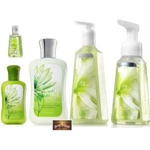  Bath & Body Works White Citrus Set (5 items included in 
