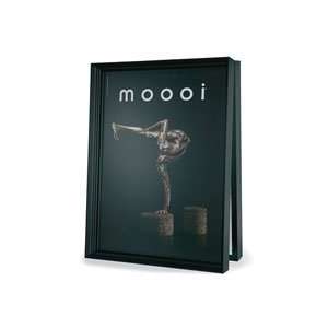  Moooi Oversized XL Frame by Marcel Wanders