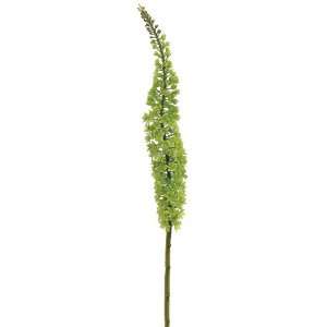  44 Foxtail Lily Spray Green (Pack of 12)