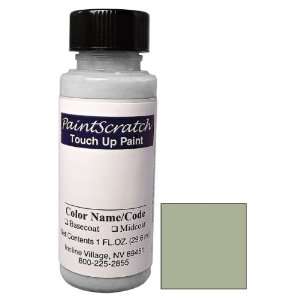   Touch Up Paint for 2002 Nissan Primera (color code KY5) and Clearcoat