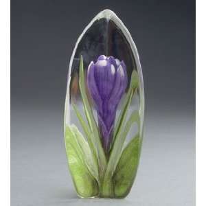  Crocus Flower Crystal Purple