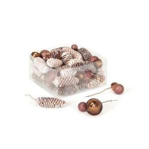   Natures Glow Frosted Pine Cone and Glitter Ball Christmas Ornaments