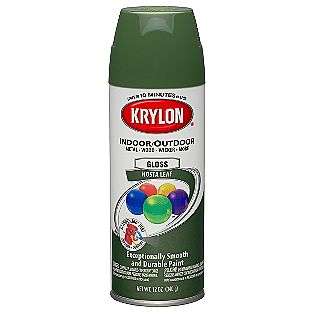 Indoor Outdoor   Gloss Hosta Leaf  Krylon Tools Painting & Supplies 