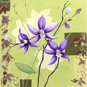  Orchids in Bloom I by Adrianna 12 X 12 Poster