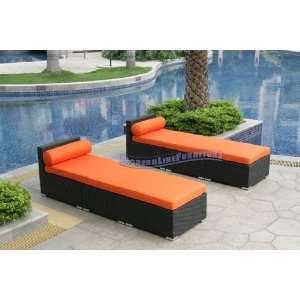  Modern Furniture All Weather Collection Pair of Two 