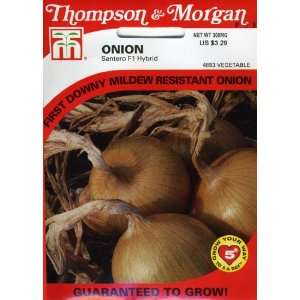   Thompson & Morgan 4893 Onion Santero Seed Packet Patio, Lawn & Garden