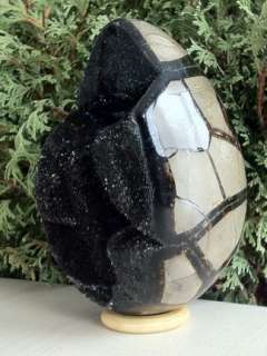 HUGE   SEPTARIAN DRAGON STONE 130 MM CRYSTALLIZED EGG   FROM 