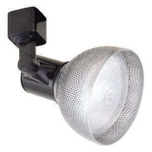   Track Heads 75W Line Voltage PAR30 with Mesh Shade