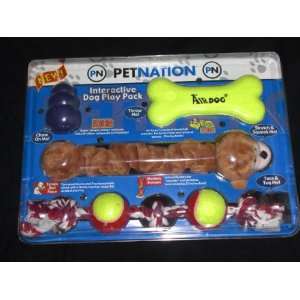  Petnation Interactive Play Pack