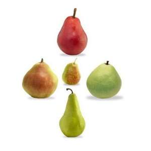  Mixed PEARS 5 varieties Pyrus 50 seeds Patio, Lawn 