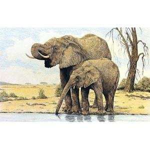 Elephants By The Waterhole    Print 