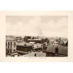  South Africa Gold Witwatersrand Reef   Original Halftone Print Home