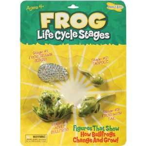  9 Pack INSECT LORE FROG LIFE CYCLE STAGES 