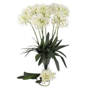  29 African Lily Stem (Set of 12)