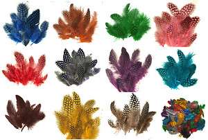 Spotted Guinea Hen Feathers 1/4 oz 12 colors av 1 4  