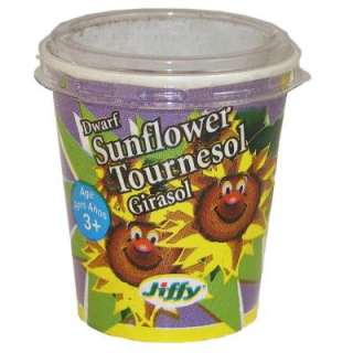 Jiffy Kids Cups Dwarf Sunflower Seed Starter Kit 5944 at The Home 