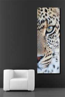 Leinwand Pompöses Bild Gepard 80x180 Kunstdruck Afrika  