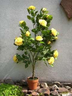 ROSENBAUM Hochstamm 110cm Blüte gelb m.Topf naturgetreu  