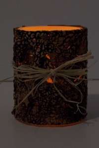 Decorative Bark LED Flameless Wax Pillar Candle Timer 037916325873 