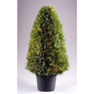   36 in. Upright Juniper Tree in Green Round Plastic Pot