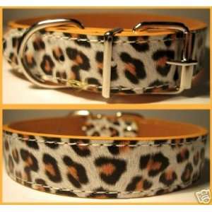  HOT Pet Dog Collar Leopard Leather 13 17 sz M CUTE 