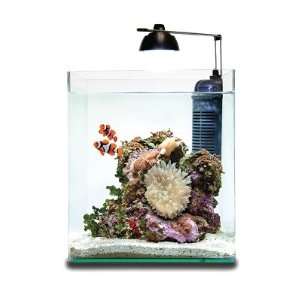  Eheim Aquastyle Nano Aquarium 16l/4 Gallon