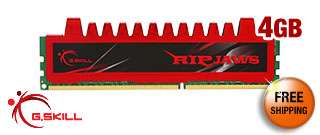 SKILL Ripjaws Series 4GB 240 Pin DDR3 SDRAM DDR3 1600 (PC3 12800 