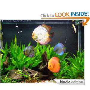 Ultimate Guide to Discus Fish Michael Chastain  Kindle 