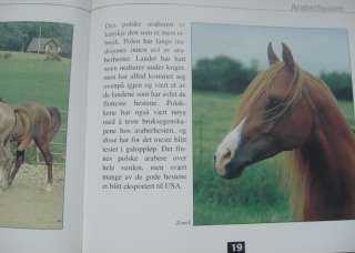 ARABERHESTEN Arabian Horses in Norwegian Book Norsk for children, kids 
