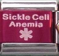   Anemia Medical Alert for Italian Charm Bracelet Free Medical ID Card