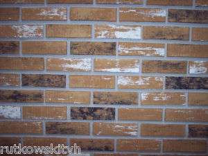Brick 20 Count IN/OUT Old Chicago Brick Facing 666493000059  