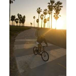 Cyclist on the Bike Path at Venice Beach in Venice, California Premium 