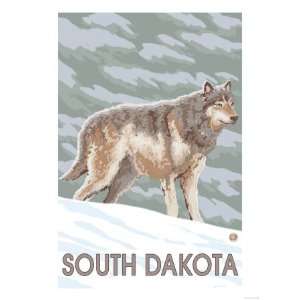  Gray Wolf Standing   South Dakota Premium Poster Print 