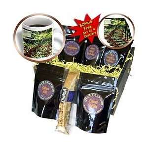     Flowers Bench n Bicycle   Coffee Gift Baskets   Coffee Gift Basket