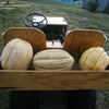 60 lbs *RARE*GIANT CANTALOUPE*5 SEEDS*sweet*HUGE*#1110*  