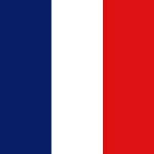  France Flag Magnet