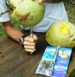 New COCOTAP invention + Coconut Water BOOK  
