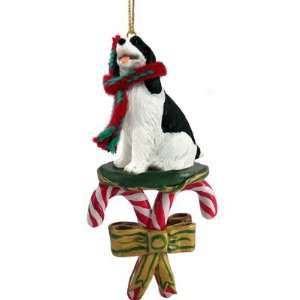   Black CANDY CANE Christmas Ornament Resin New DCC22B