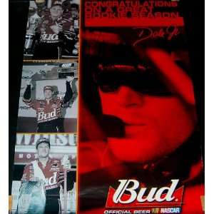 Dale Earnhardt Jr. 1999 Budweiser NASCAR Rookie Season Poster (Sports 