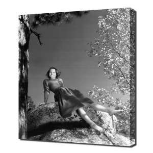  Field, Betty (Shepherd of the Hills, The)02   Canvas Art 