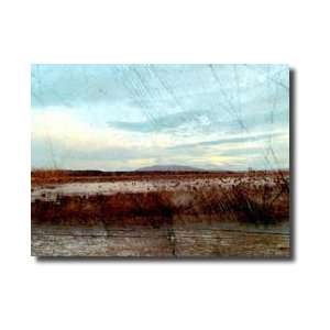  Morning Calm Ii Giclee Print