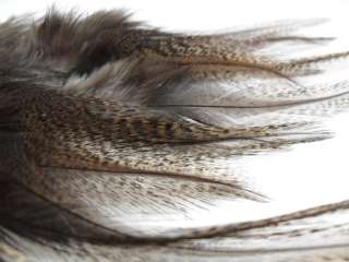   CDL GOLD BRONZE ROOSTER SADDLE HAIR EXTENSION FEATHERS up 7L  
